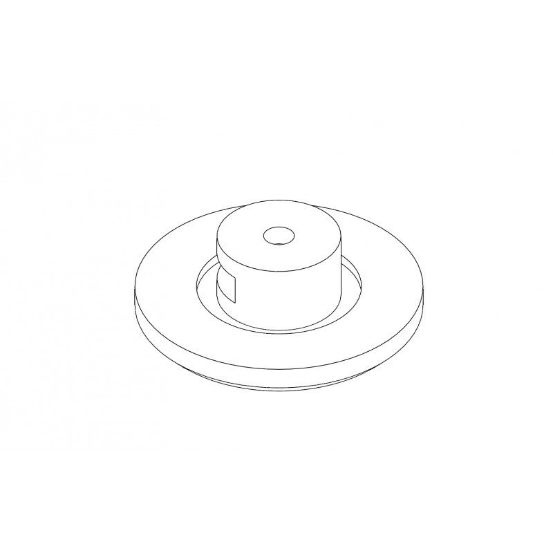 Low profile dump valve, plug