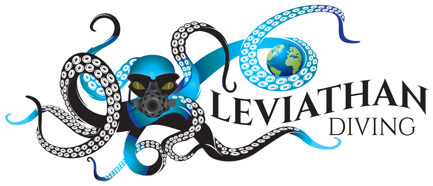lev_logo